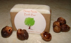 soap nuts bath bar