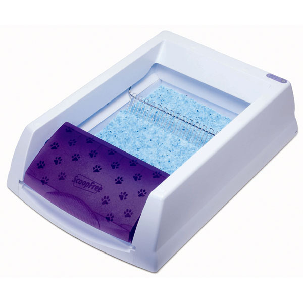 Scoopfree review clearance