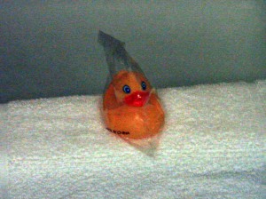 Complimentary Rubber Duck