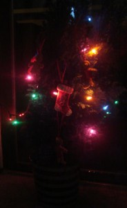 ProPlant Mini Christmas Tree