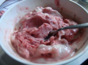 Strawberry & Banana Yonanas 