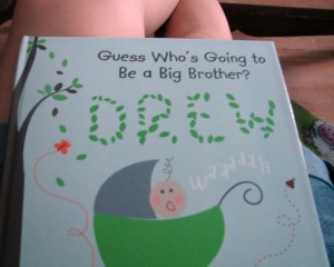 Personalized big brother book