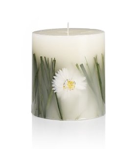 daisycandle