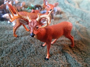 Safari ltd deer