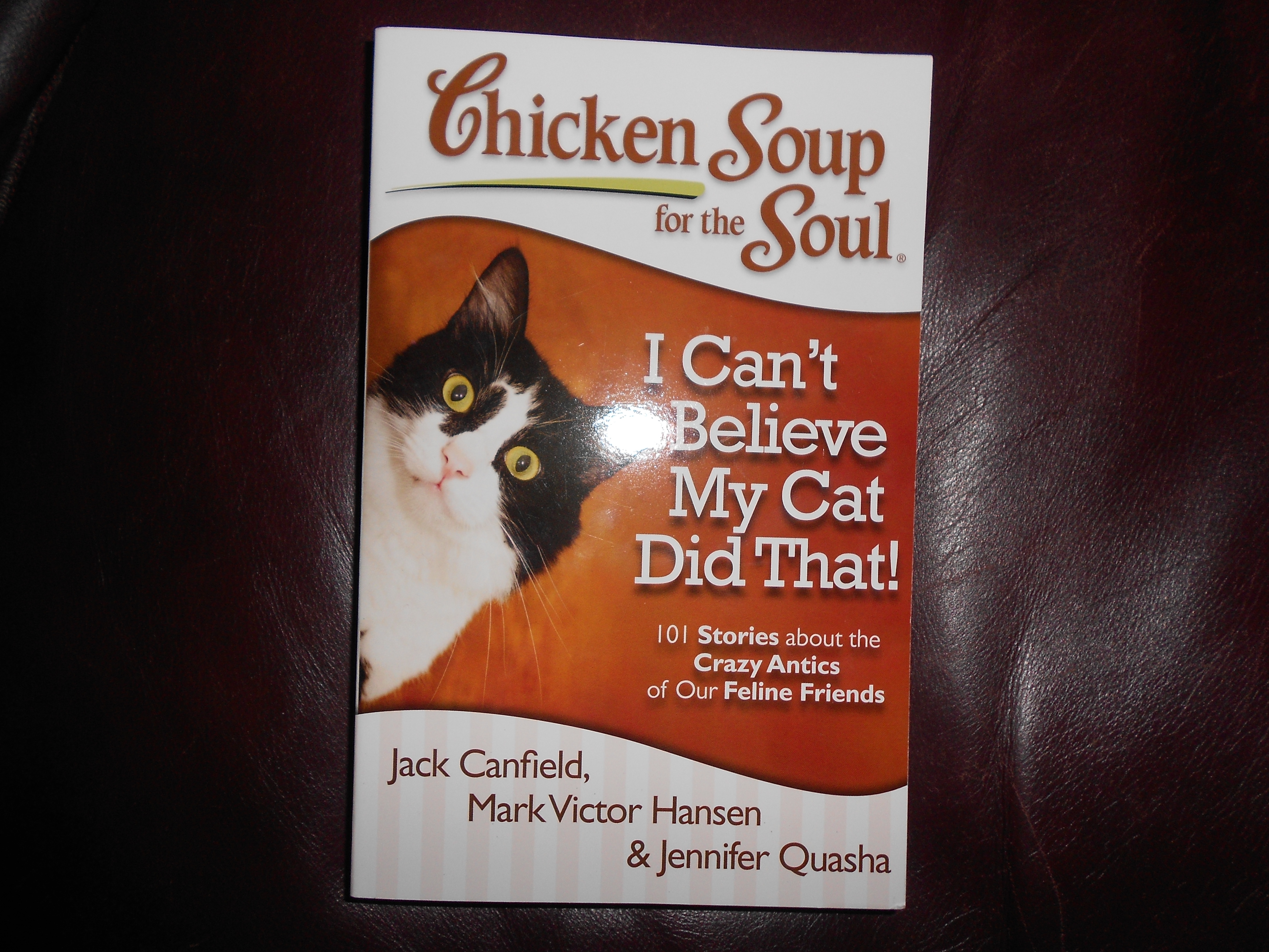 Chicken soup for the cat lovers soul hotsell