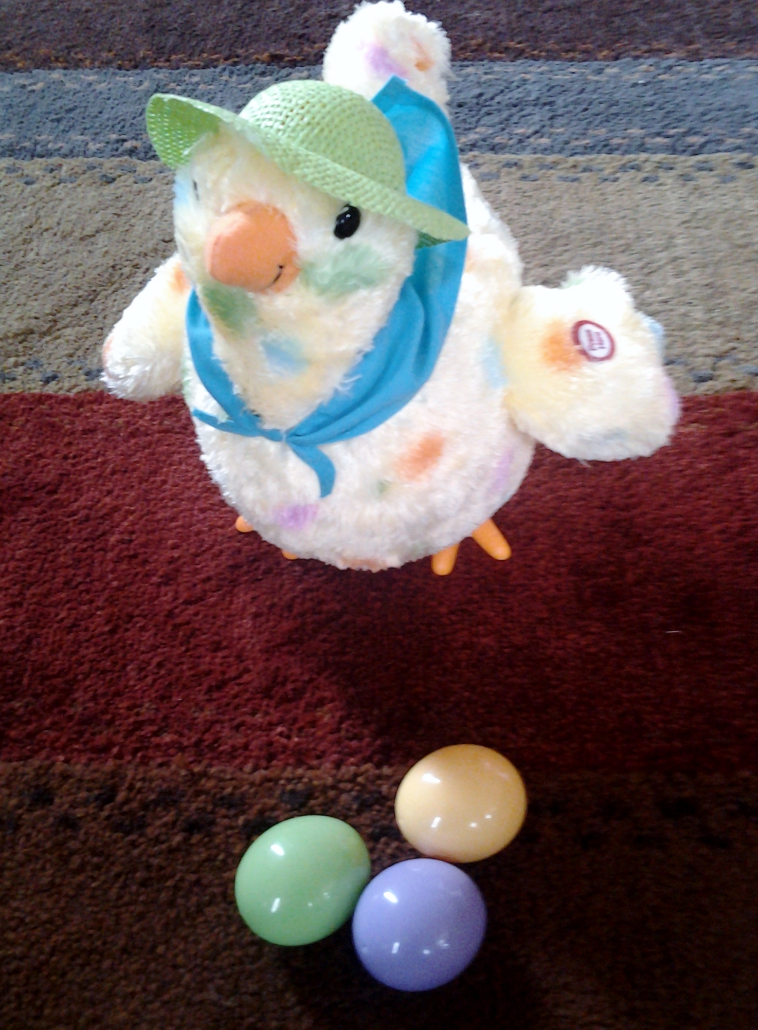 squawkin egg droppin hen