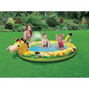 giraffepool