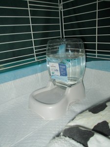 Petmate 1/4 gallon gravity waterer