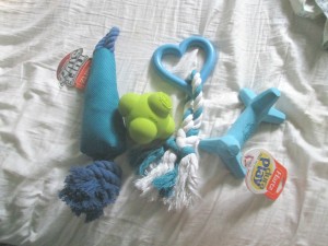 hartz dog toys