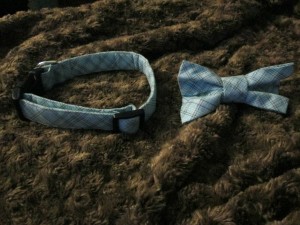 CaboDog bow tie collar