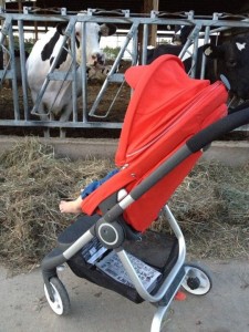 stokke 04