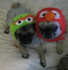 FrankNBeansHalloween