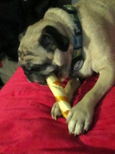 pug pork chomps