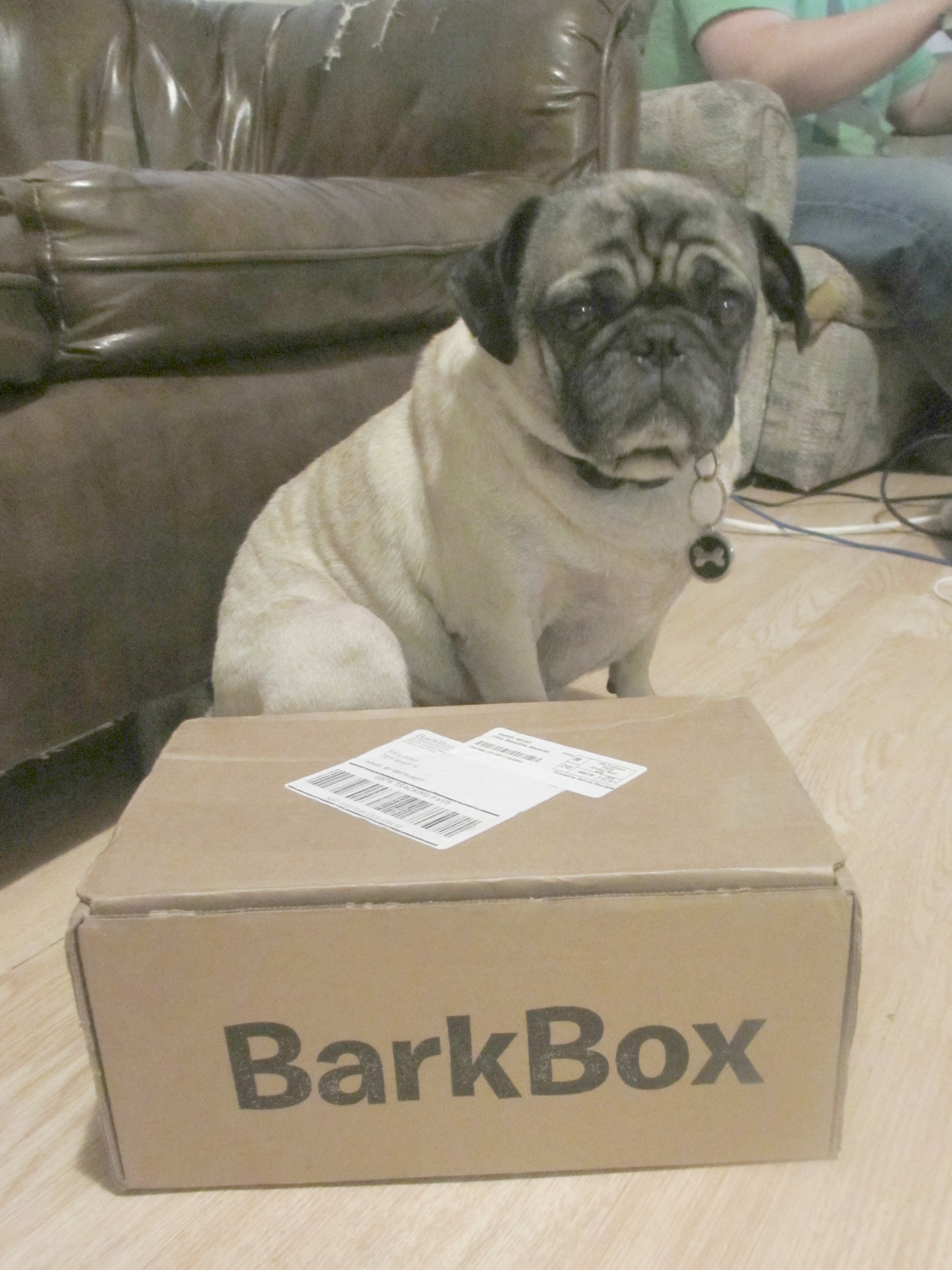 Barkbox for small dogs deals