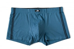 panty 3