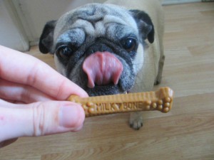 Milkbone size mini pug