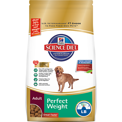 How To Determine If Your Dog Is Overweight Emily Reviews