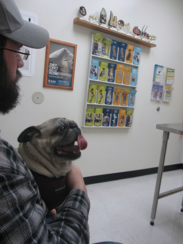 Banfield Pet Hospital (inside Petsmart) Review + 6 month Dog Heartworm Protection Giveaway (9/26 ...