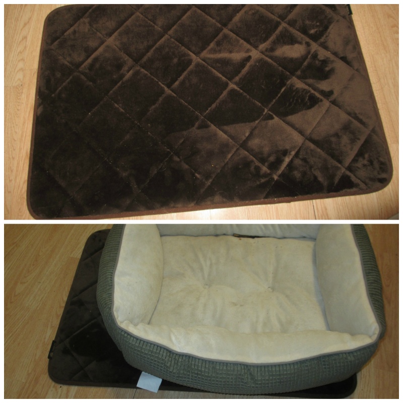 AKC memory foam dog mat