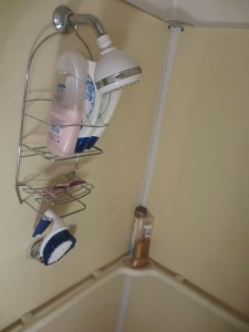 spectrum diversified large shower caddy