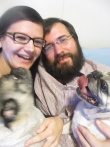 Pugs family photo