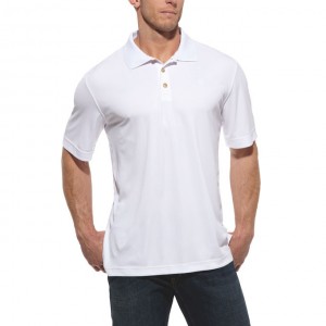 polo
