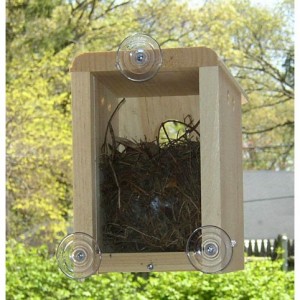 Window Nest Box - great gift idea for gardeners and bird or nature lovers! 