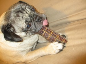 jones wheezer stick frank the pug