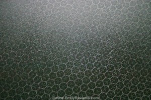 IMG_9522