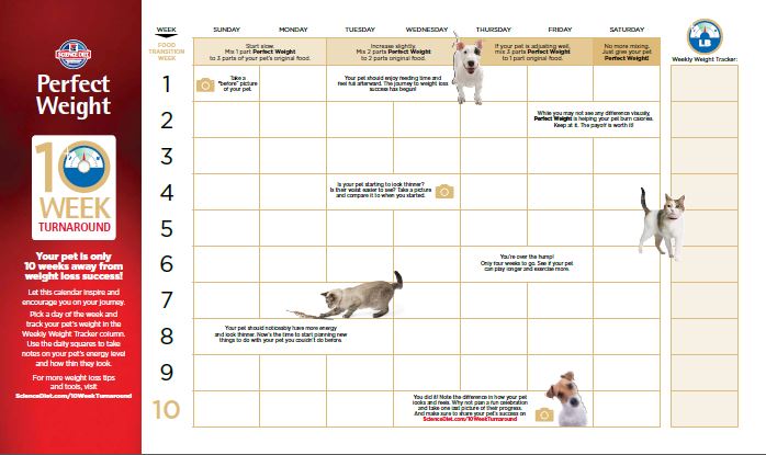 10 week turnaround dog weight loss calendar 