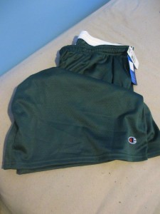 Champion 84461 Authentic Mens Circuit Mesh Shorts