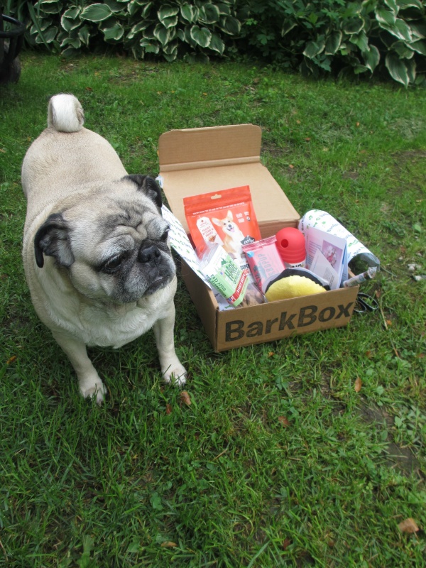 BarkBox 2015 review 