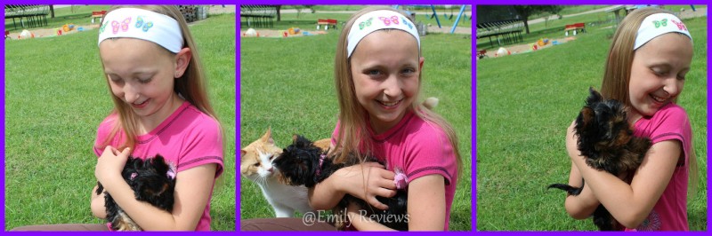 logo loops ~ Headbands With Personality ~ Review & Giveaway (US) 7/3
