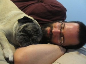 pug cuddles