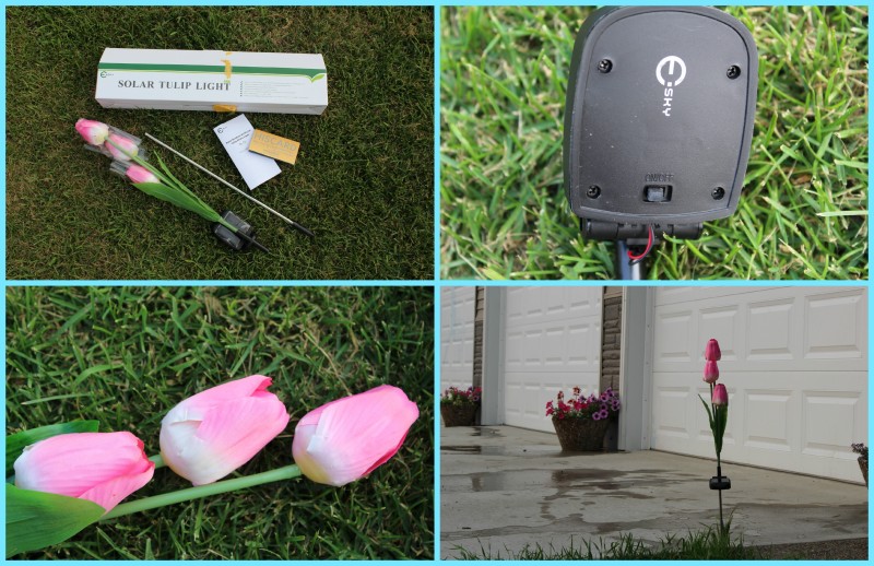 HisGadget ~ Esky 3pcs LED Solar Powered Tulip Shaped Garden Stake Light