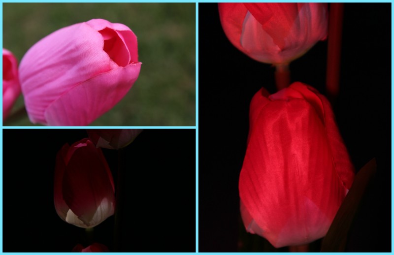 HisGadget ~ Esky 3pcs LED Solar Powered Tulip Shaped Garden Stake Light