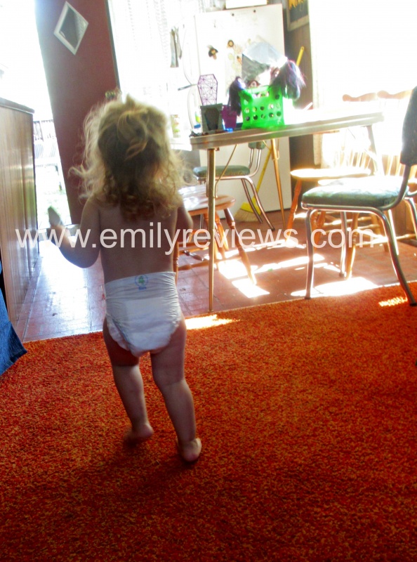 Kidgets family dollar diapers