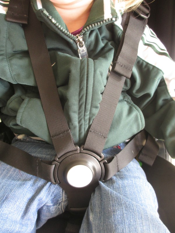 bugaboo 5 point harness