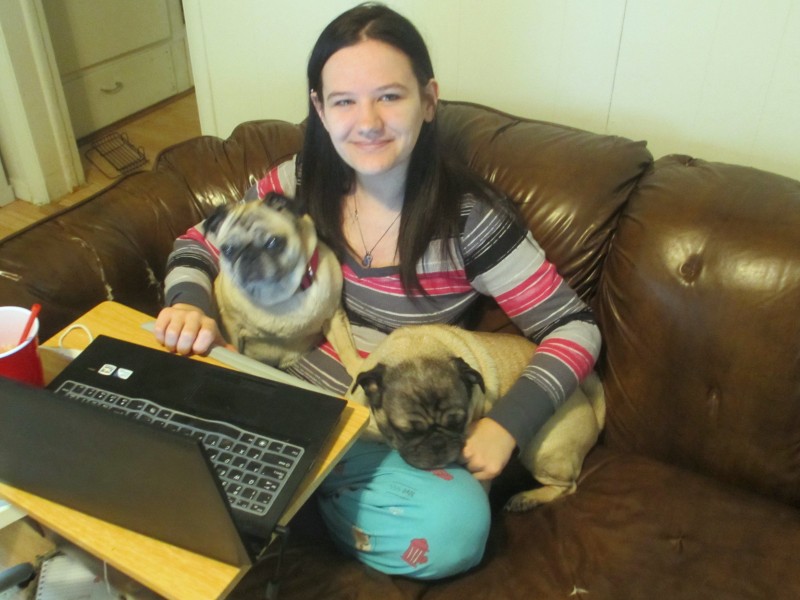 Working from home with pugs