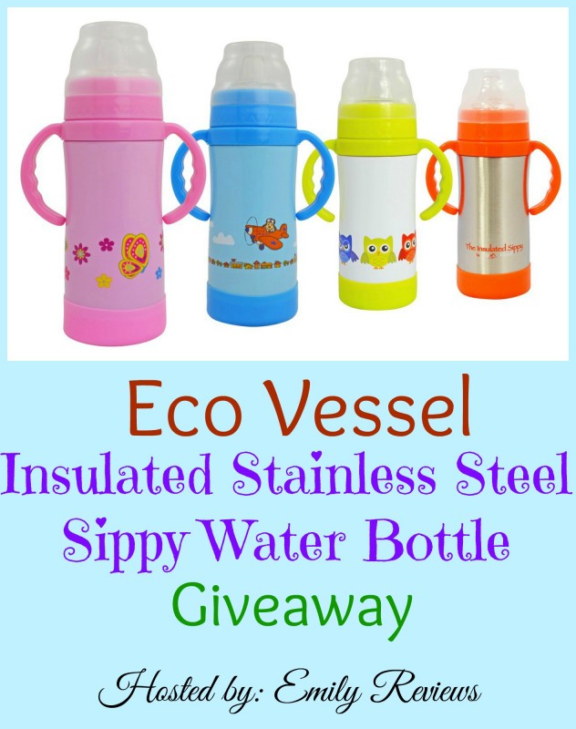 Eco Vessel Stainless Steel Sippy Water Bottle CupGiveaway