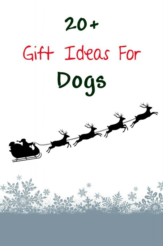 20+ gift ideas for your dog. Dogs want christmas gifts too!
