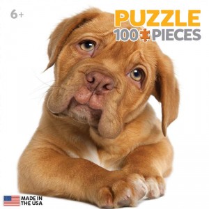 Puzzle Warehouse MGG STOCK IMAGE