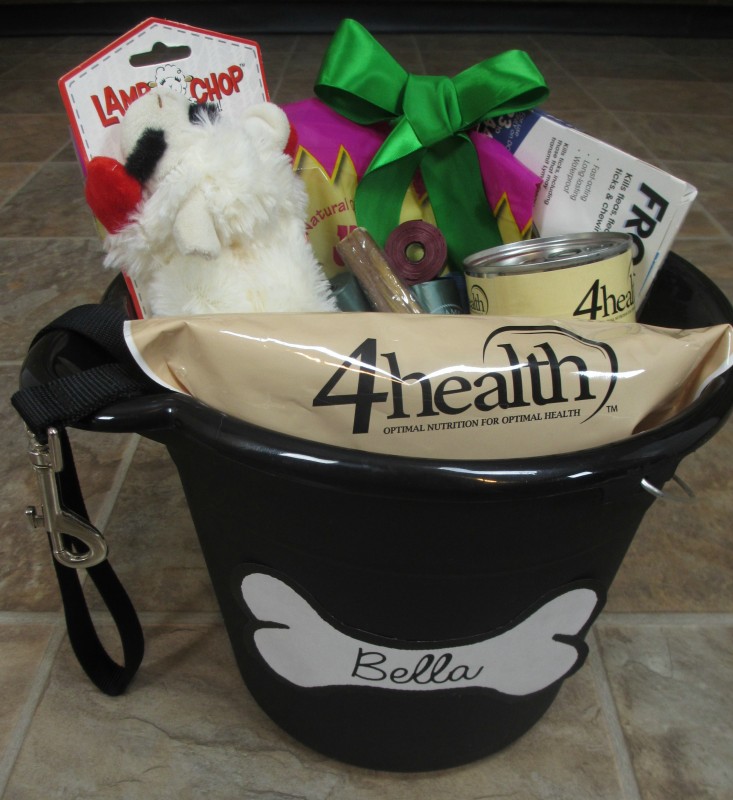 DIY Dog Gift Basket Christmas or Donation Idea | Emily Reviews