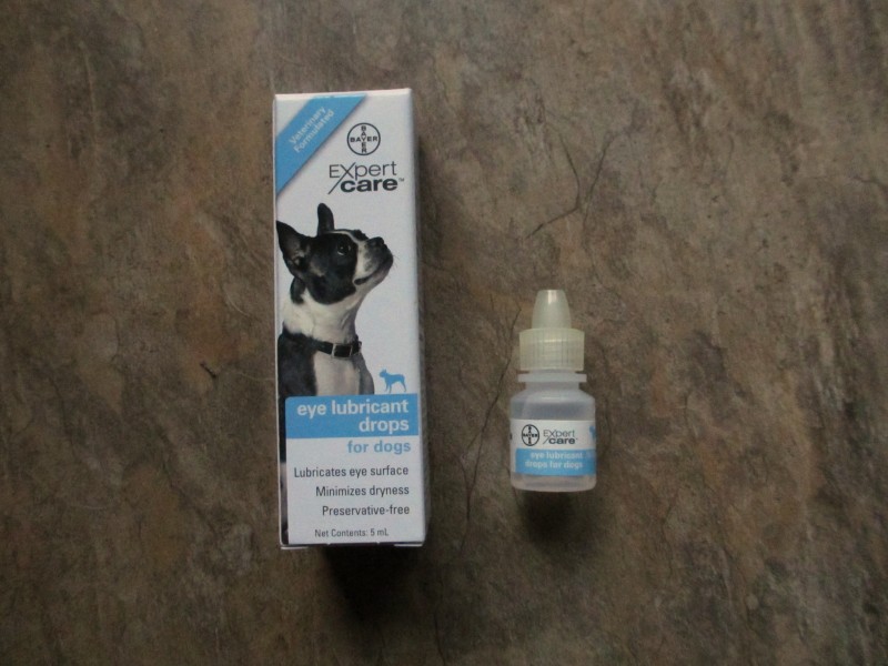 can i use regular eye drops on dogs