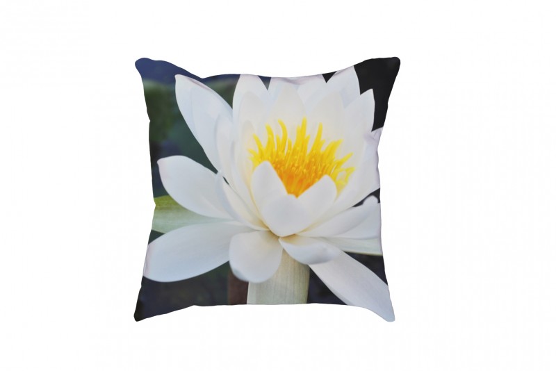 Joelle's Emporium water-lilly-pillow-case-800x534