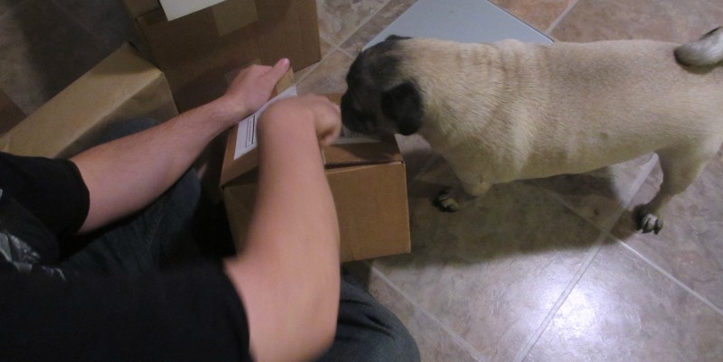 daisy-care dog subscription box review