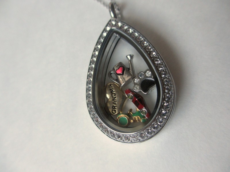 Origami Owl living locket necklace and charms