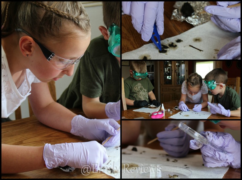 STEMbox ~ Empowering Young Girls Monthly Subscription