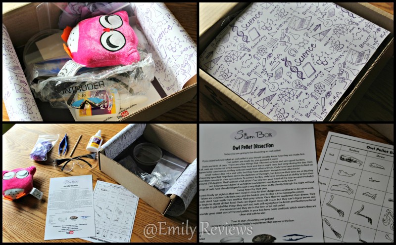 STEMbox ~ Empowering Young Girls Monthly Subscription