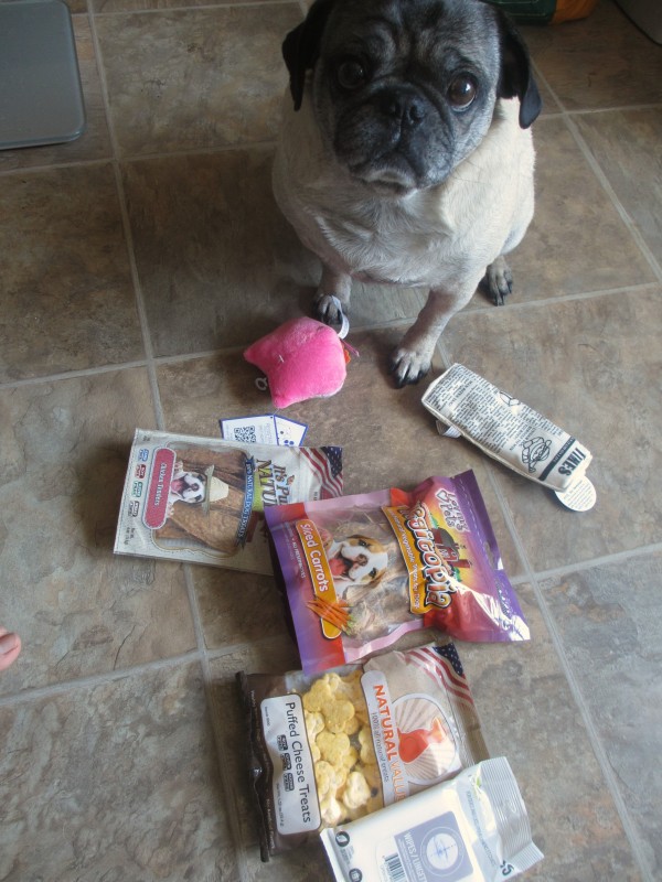 Surprise My Pet march subscription box